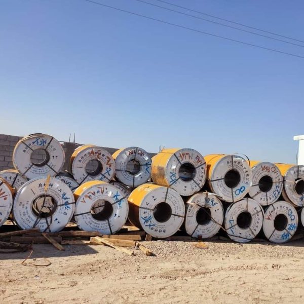 photo_2_2024-06-22_08-39-31