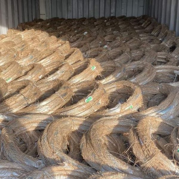 photo_7_2024-06-22_08-39-32